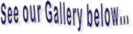 See our Gallery below...